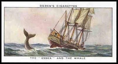 39OSA 23 The Essex And The Whale.jpg